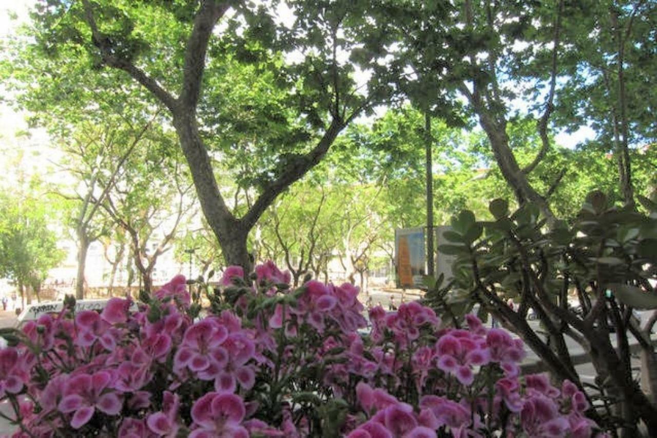 Sant Antoni Lovely Apartment Barcelona Luaran gambar